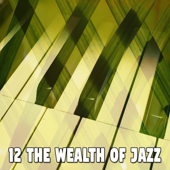 Lounge Café - 12 The Wealth of Jazz