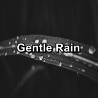 Sounds of Nature White Noise Sound Effects - Gentle Rain