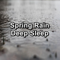 Sleep - Spring Rain Deep Sleep
