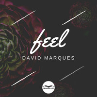 David Marques - Feel