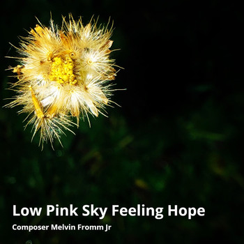 Composer Melvin Fromm Jr - Low Pink Sky Feeling Hope