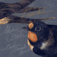 Liebeskid - Muted Birds (Christian Pensel Remix)