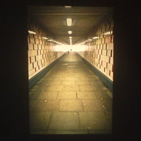 Batsch - Pcb