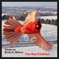 Brian D. Wilson - The Red Cardinal
