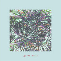 Goose Down - Groove Den