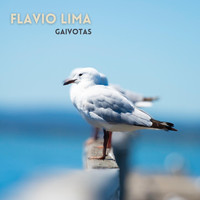 Flavio Lima - Gaivotas