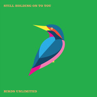 Birds Unltd. - Still Holding on to You