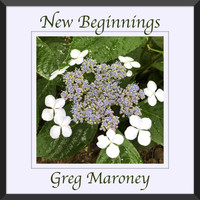 Greg Maroney - New Beginnings