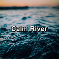 Ocean Sounds for Sleep - Calm River