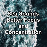 Relaxation and Meditation - Sea Sounds Better Focus and Concentration
