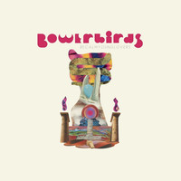 Bowerbirds - The Party