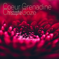 Christophe Goze - Coeur Grenadine