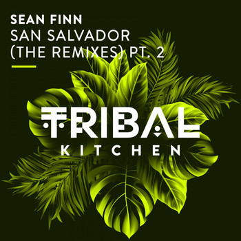 Sean Finn - San Salvador (The Remixes) Pt. 2