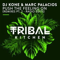 Dj Kone & Marc Palacios - Push the Feeling On (Remixes Pt. 2 - Radio Edits)