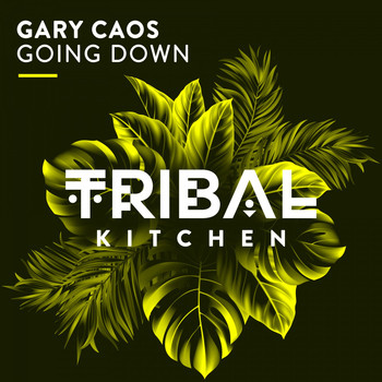 Gary Caos - Going Down (Radio Edit)