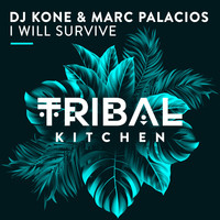 Dj Kone & Marc Palacios - I Will Survive