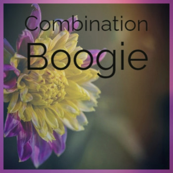 Various Artist - Combination Boogie