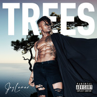 JayLamar / - Trees
