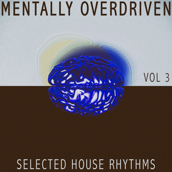 Various Artists - Mentally Overdriven Vol 3 - Selected House Rhythms