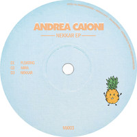 Andrea Caioni - Nekkar EP