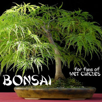 For Fans of Wet Circles / - Bonsai