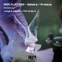 Ron Flatter - Sahara / Proteus