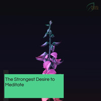 Serenity Calls - The Strongest Desire To Meditate