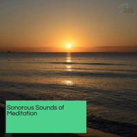 Ambient 11 - Sonorous Sounds Of Meditation