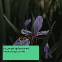 Ambient 11 - Discovering Peace With Meditating Sounds