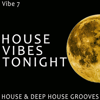 Various Artists - House Vibes Tonight - Vibe.7