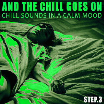Various Artists - And the Chill Goes on - Step.3