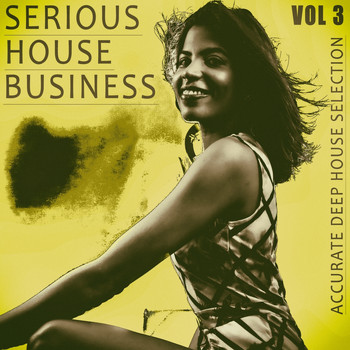 Various Artists - Serious House Business - Vol.3