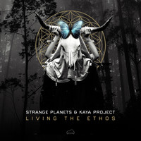 Strange Planets and Kaya Project - Living the Ethos