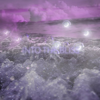 Into the Bliss - Oceans