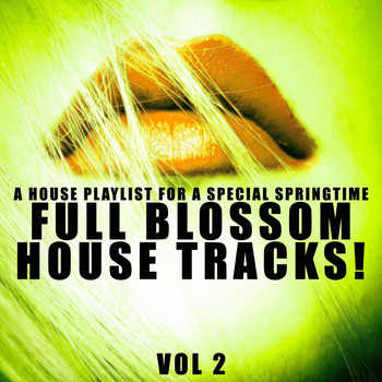 Various Artists - Full Blossom House Tracks! - Vol.2