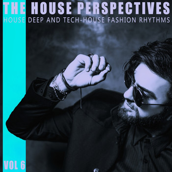 Various Artists - The House Perspectives - Vol.6
