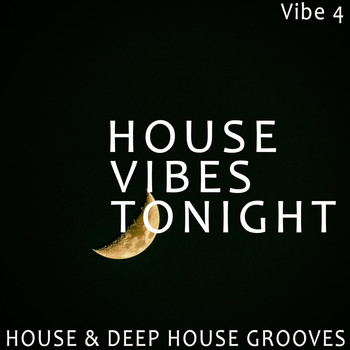 Various Artists - House Vibes Tonight - Vibe.4