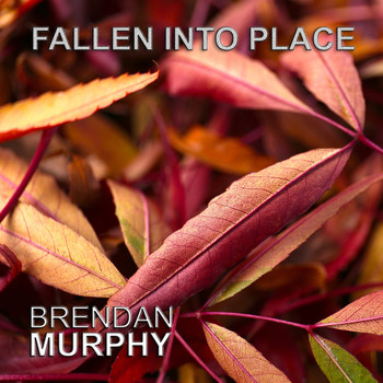 Brendan Murphy - Fallen into Place
