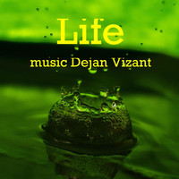 Dejan Vizant - Life