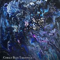 Xavier Boscher - Cobalt Blue Tarantula