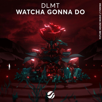 Dlmt - Watcha Gonna Do