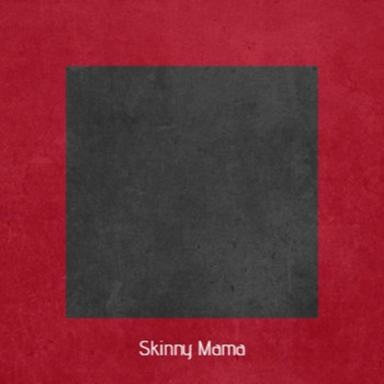 Various Artist - Skinny Mama