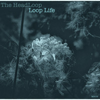 The HeadLoop - Loop Life