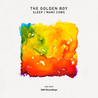 The Golden Boy - Sleep / Many Cows