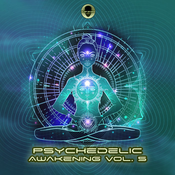Various Artists - Psychedelic Awakening, Vol. 5