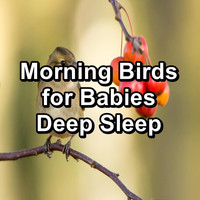 Spa & Spa - Morning Birds for Babies Deep Sleep