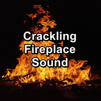 Fireplace Sounds - Crackling Fireplace Sound