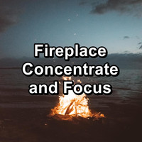 Fireplace Dream - Fireplace Concentrate and Focus