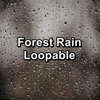 Nature Sounds Artists - Forest Rain Loopable