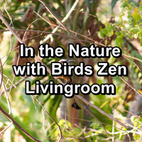 Bird Sounds 2016 - In the Nature with Birds Zen Livingroom